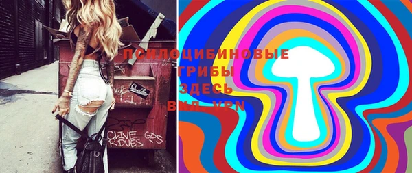 Альфа ПВП Бугульма
