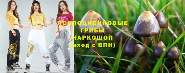 Альфа ПВП Бугульма